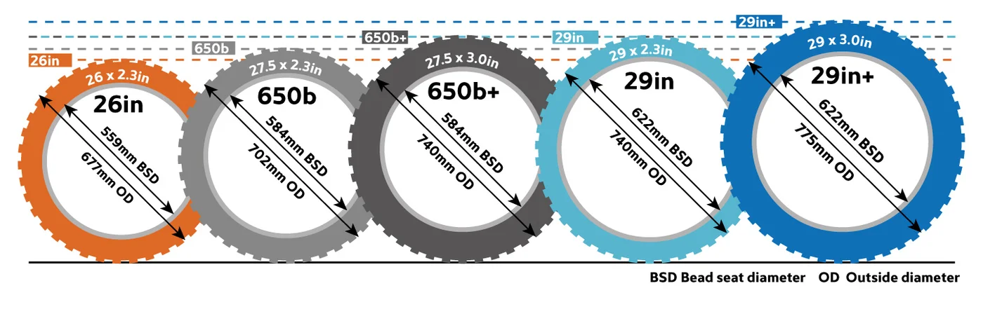 normal mountain bike tire size